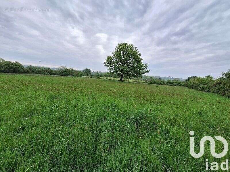 Photo 8 - Maison à ROUESSE-VASSE