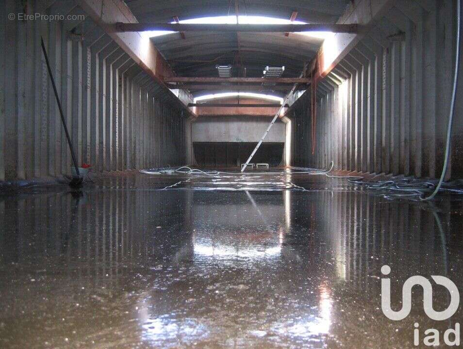 Photo 7 - Maison à SAINT-PIERRE-DU-PERRAY