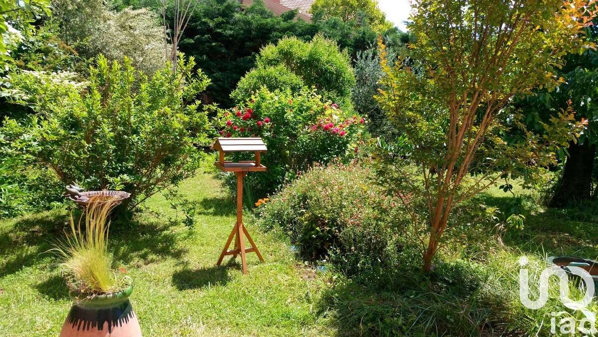 Photo 4 - Maison à TOULOUSE