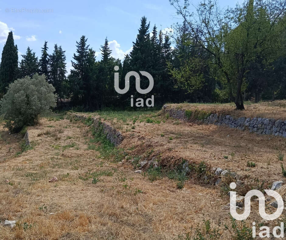 Photo 3 - Terrain à FAYENCE