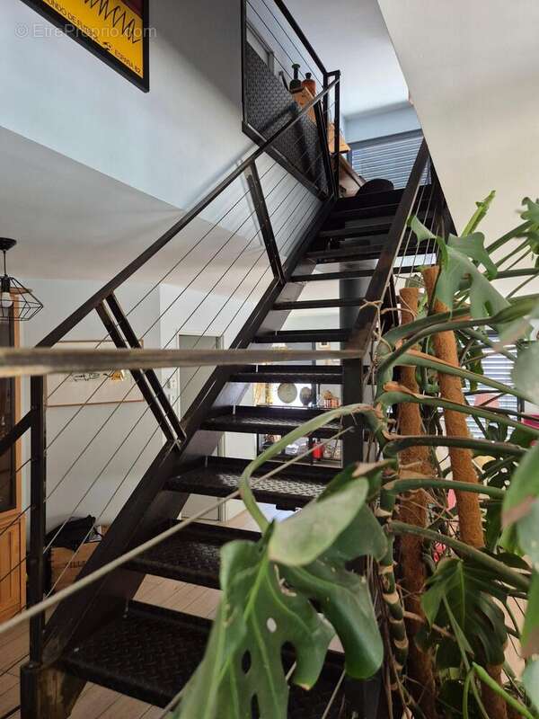 Photo 4 - Maison à ALBI