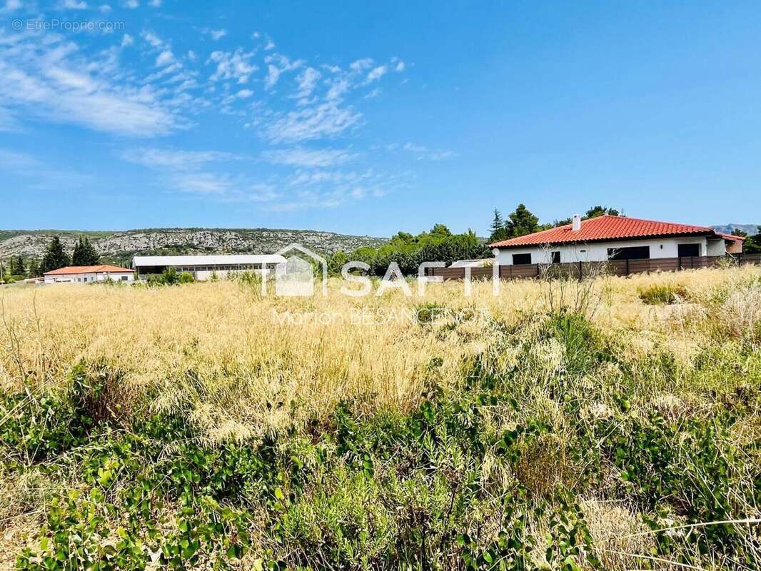 Photo 4 - Terrain à TAUTAVEL