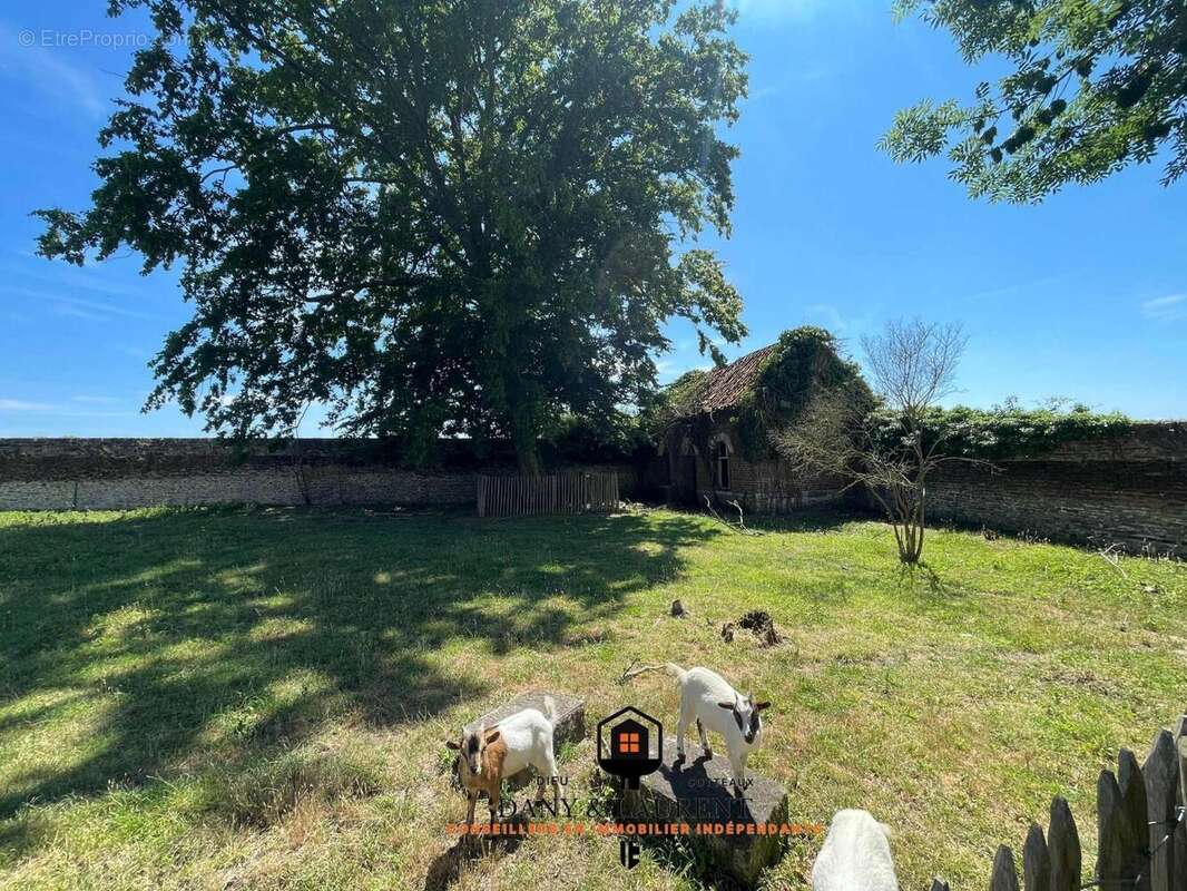 Photo 4 - Maison à SAINT-AMAND-LES-EAUX