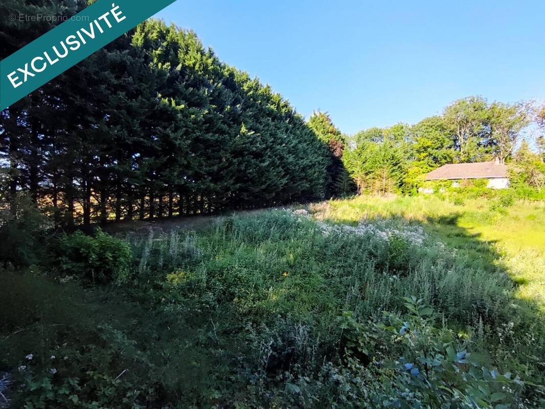 Photo 1 - Terrain à PIERREPONT