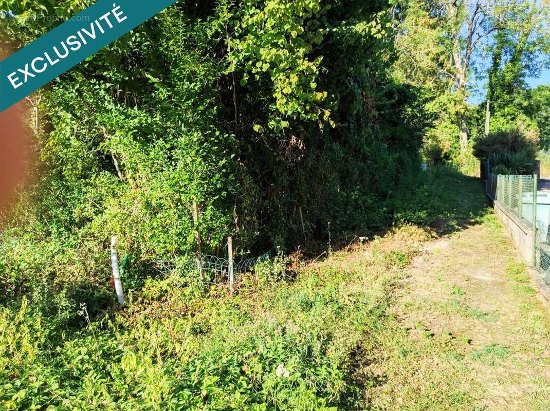 Photo 3 - Terrain à PIERREPONT