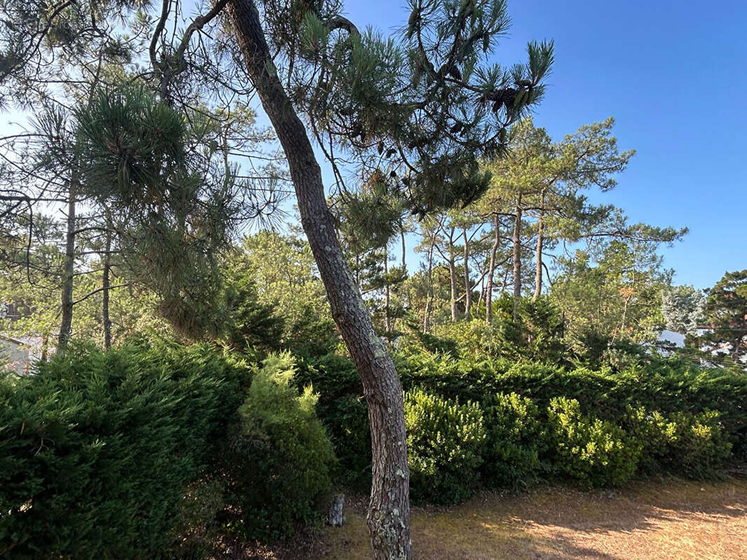 Maison à LA TRANCHE-SUR-MER