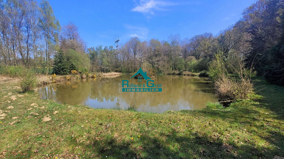 Terrain à SENS-DE-BRETAGNE