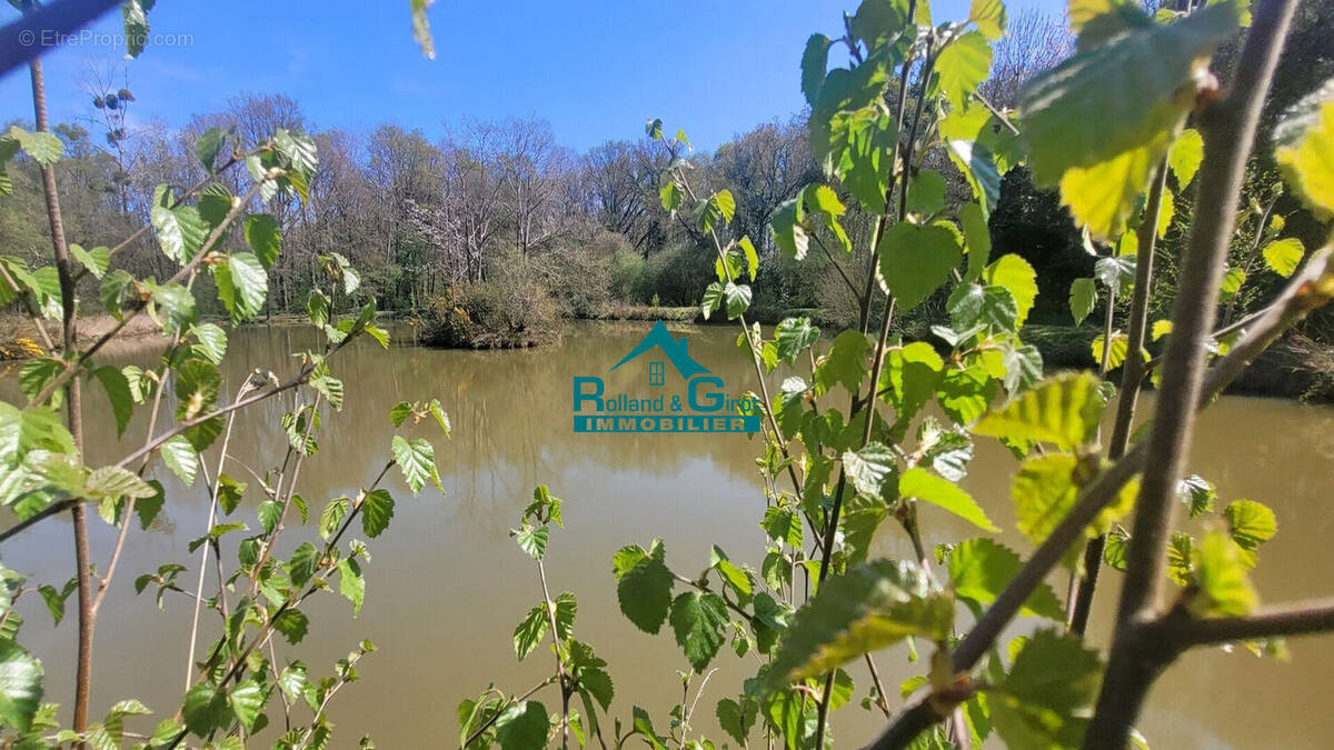 Terrain à SENS-DE-BRETAGNE