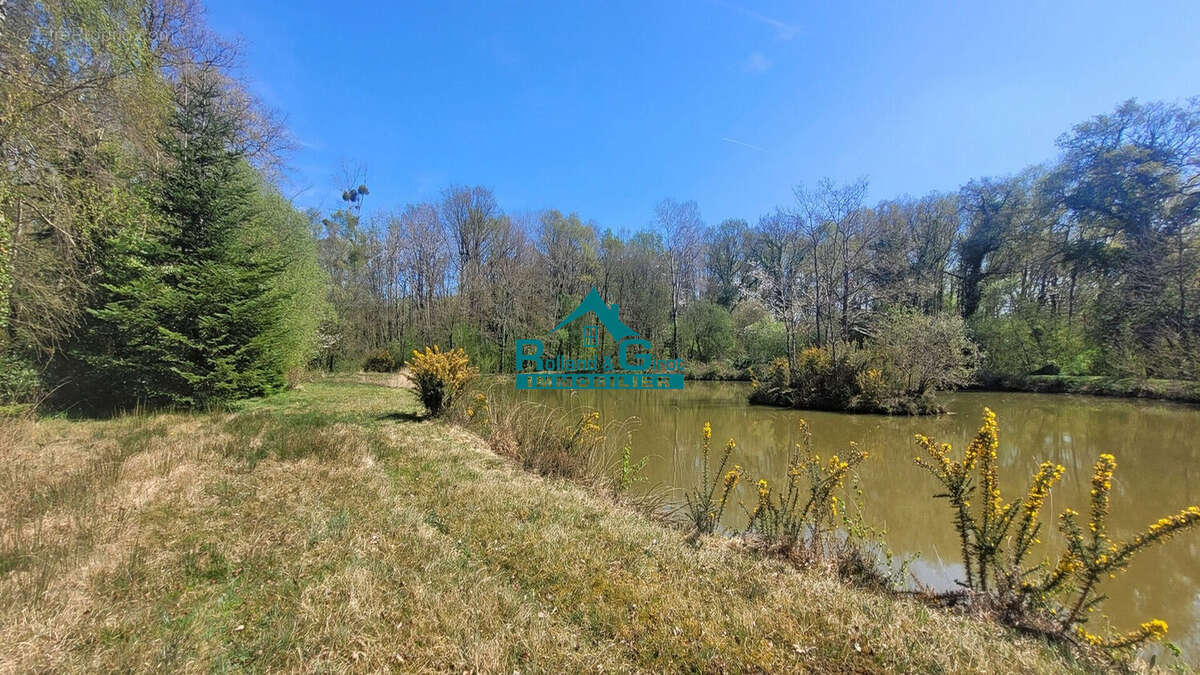 Terrain à SENS-DE-BRETAGNE