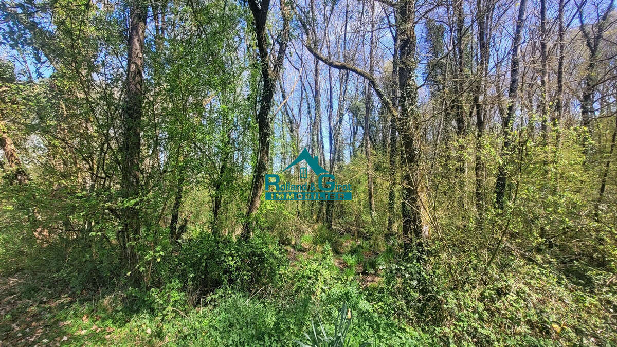 Terrain à SENS-DE-BRETAGNE