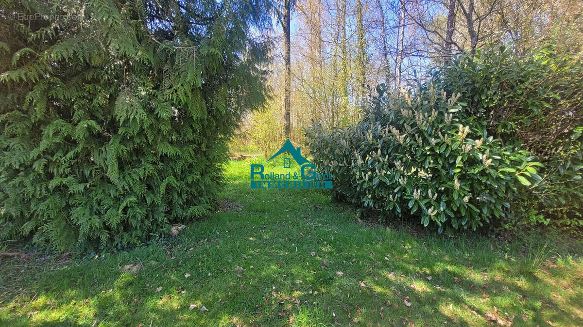 Terrain à SENS-DE-BRETAGNE