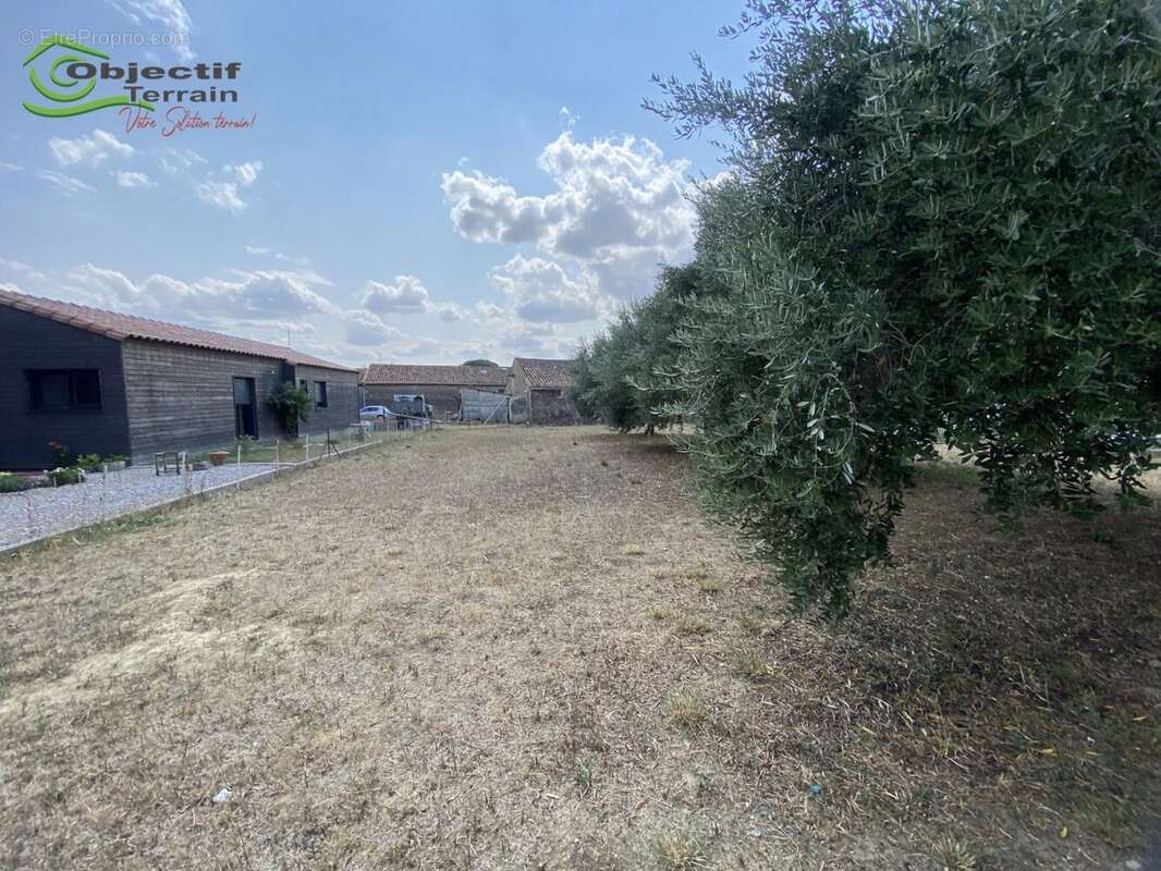 Terrain à POUZOLLES