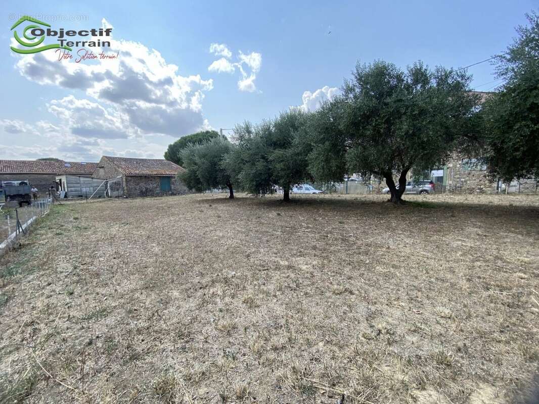 Terrain à POUZOLLES