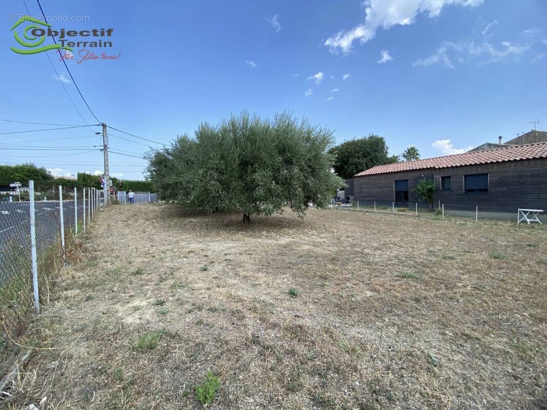 Terrain à POUZOLLES