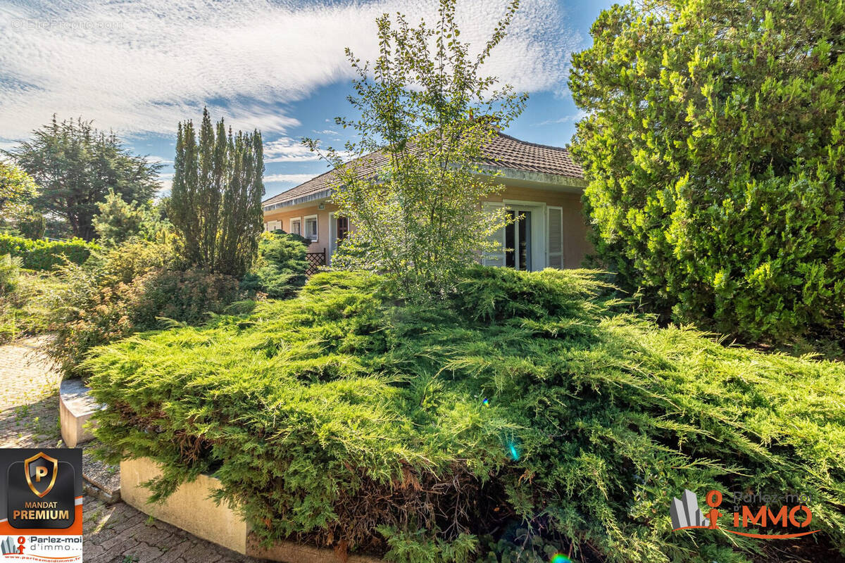 Maison à LA TOUR-DE-SALVAGNY