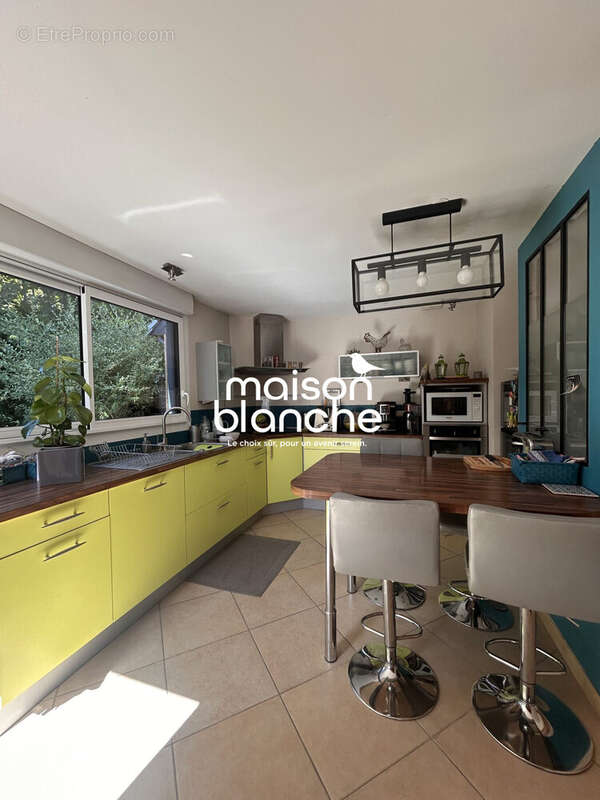 Maison à PELLOUAILLES-LES-VIGNES