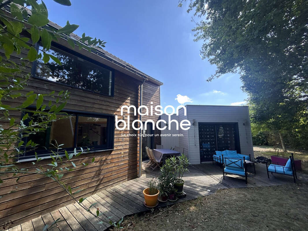 Maison à PELLOUAILLES-LES-VIGNES