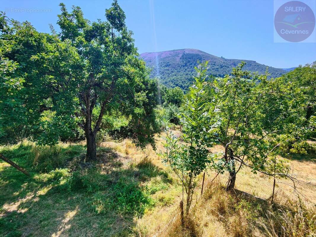 Maison à LA SALLE-PRUNET