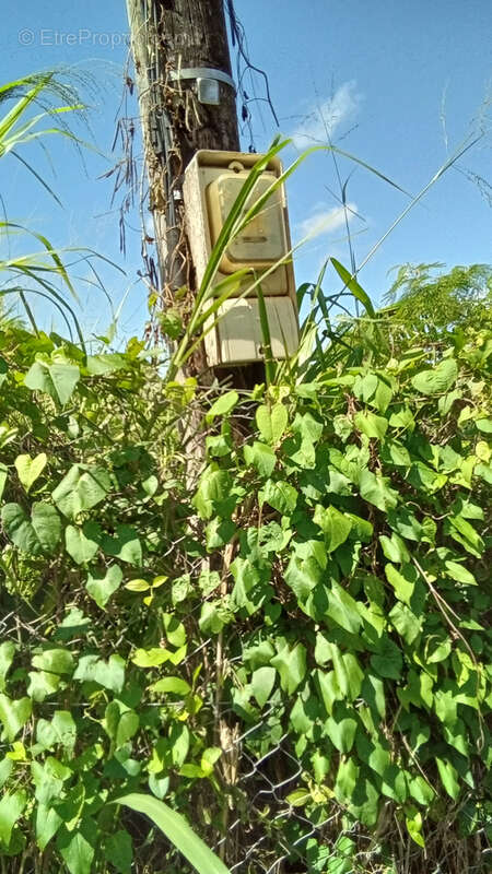 Terrain à GOURBEYRE