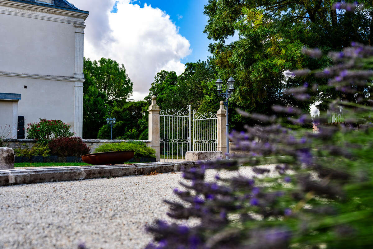 Maison à SAINT-JEAN-D'ANGELY