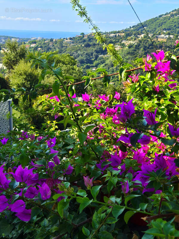 Appartement à MENTON
