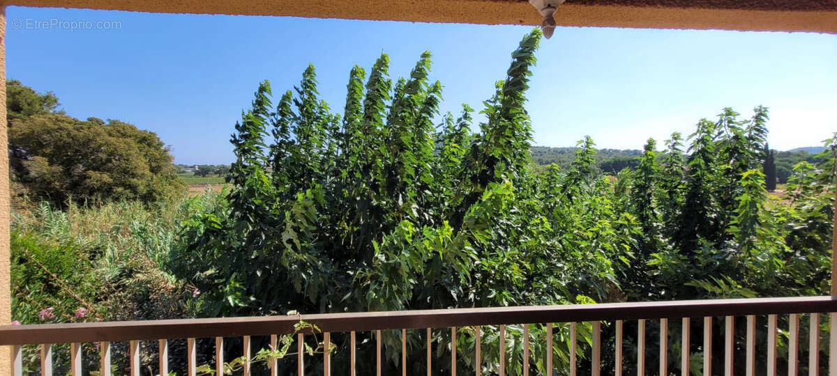 Maison à BORMES-LES-MIMOSAS