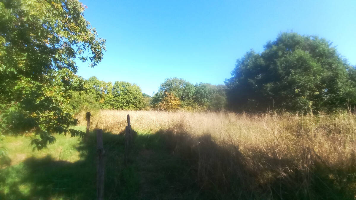Maison à SAINT-JULIEN-DE-VOUVANTES