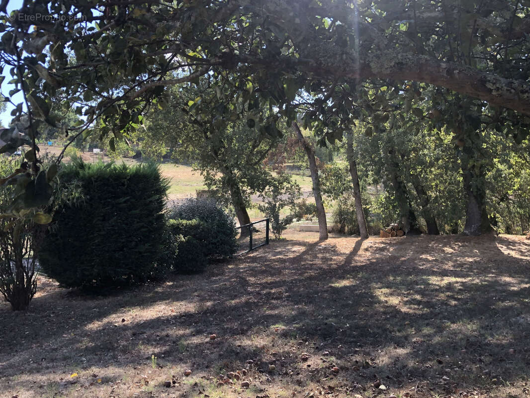 Maison à BARBEZIEUX-SAINT-HILAIRE