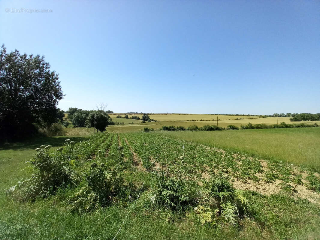 Maison à L&#039;ISLE-JOURDAIN