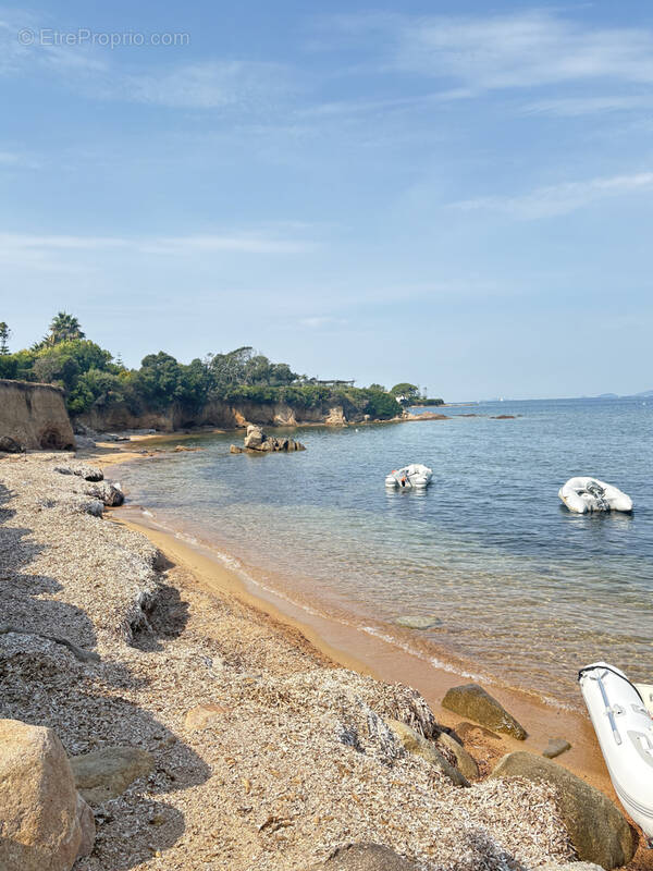 Appartement à PIETROSELLA