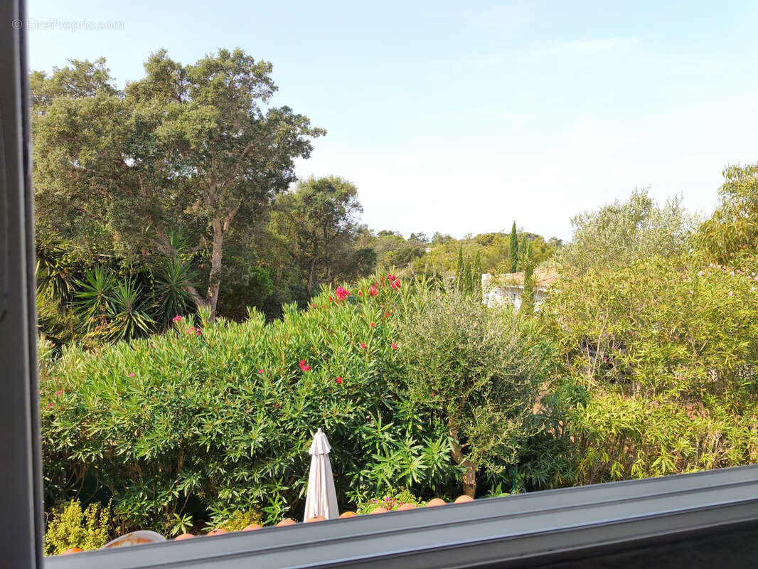 Appartement à PIETROSELLA