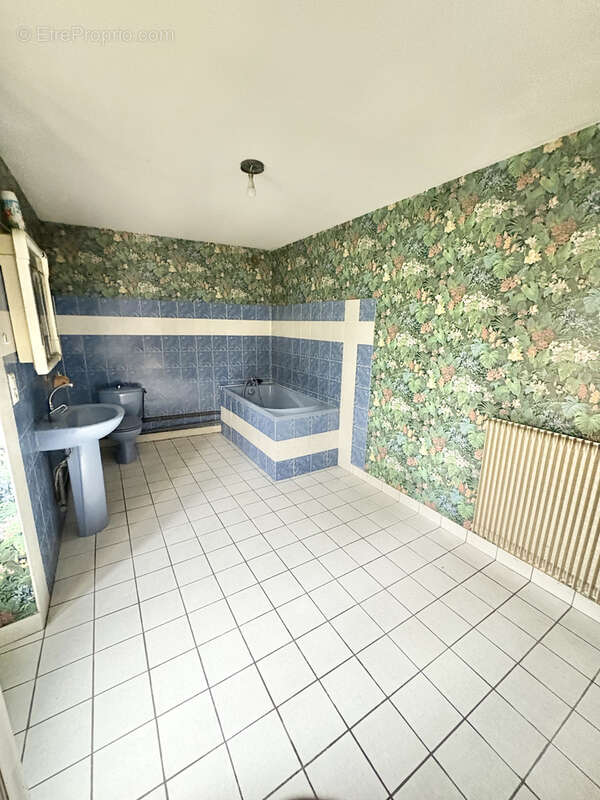 Maison à SAINT-MYON