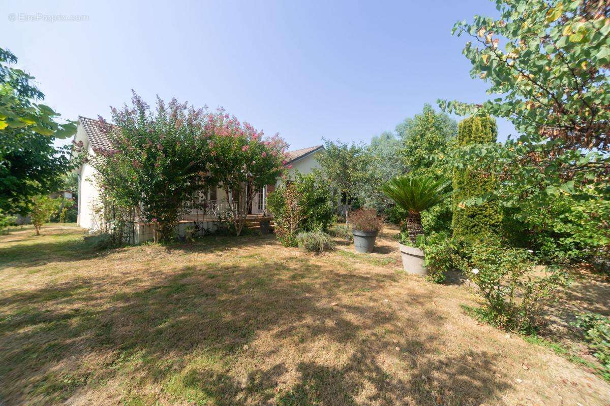 Maison à SAINT-DIDIER-SUR-CHALARONNE