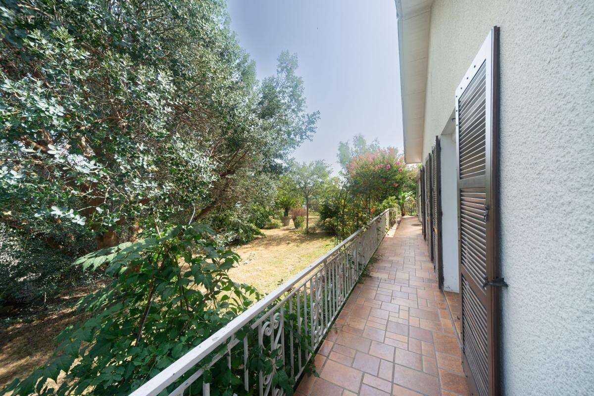 Maison à SAINT-DIDIER-SUR-CHALARONNE