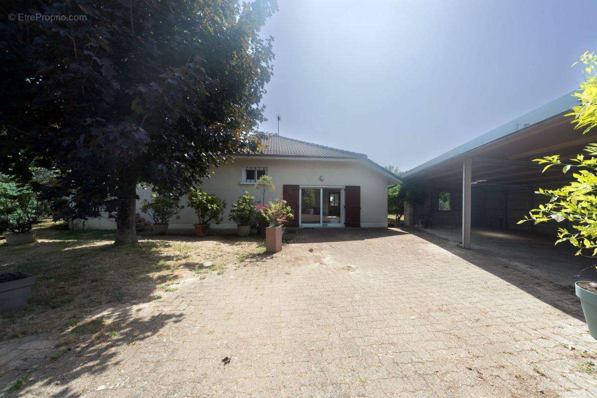 Maison à SAINT-DIDIER-SUR-CHALARONNE