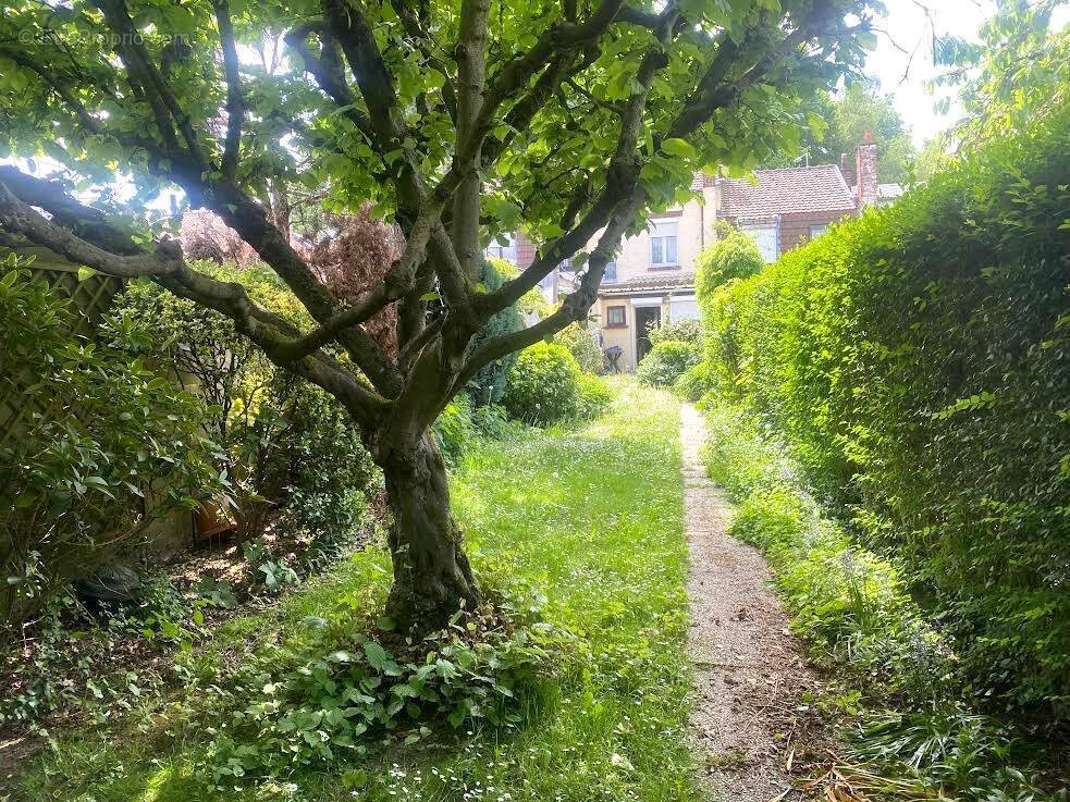 Maison à VILLENEUVE-D'ASCQ