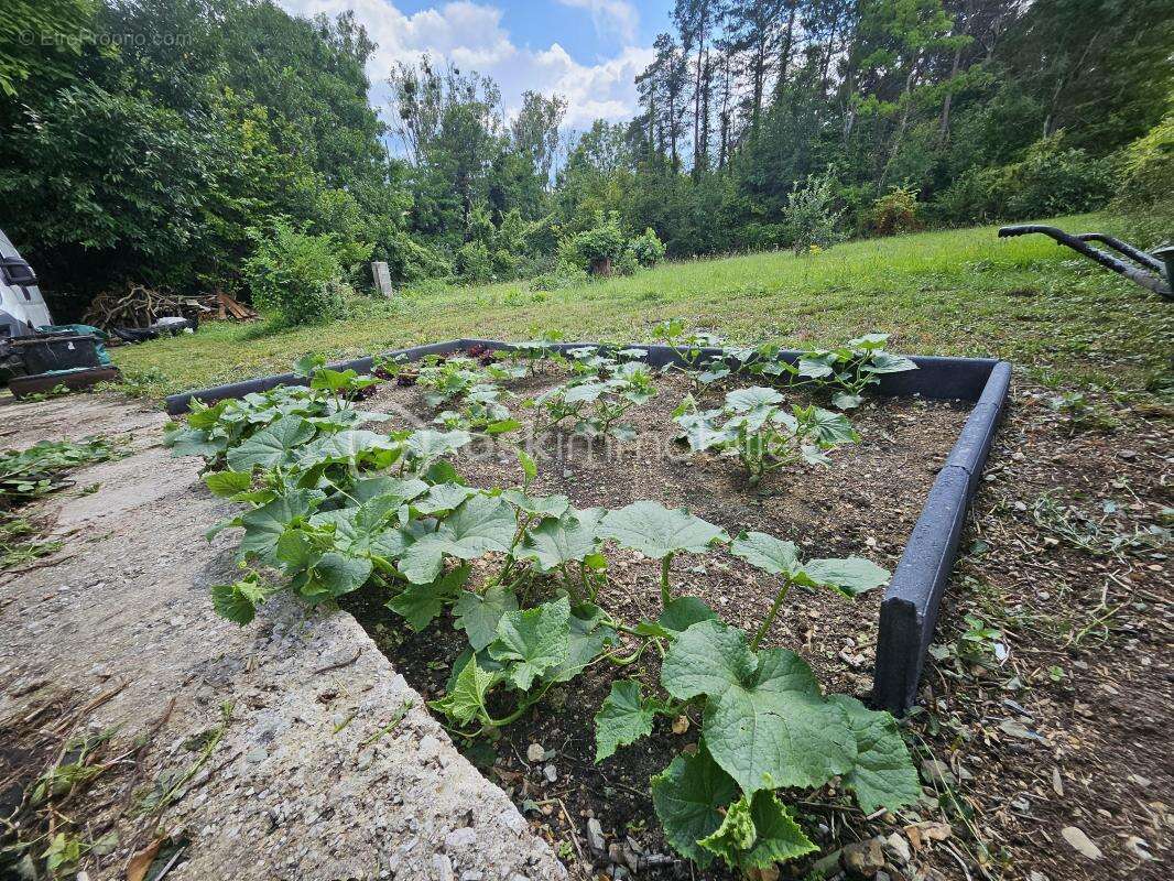 Maison à VILLIERS-LOUIS