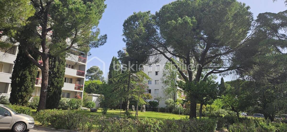 Appartement à MONTPELLIER