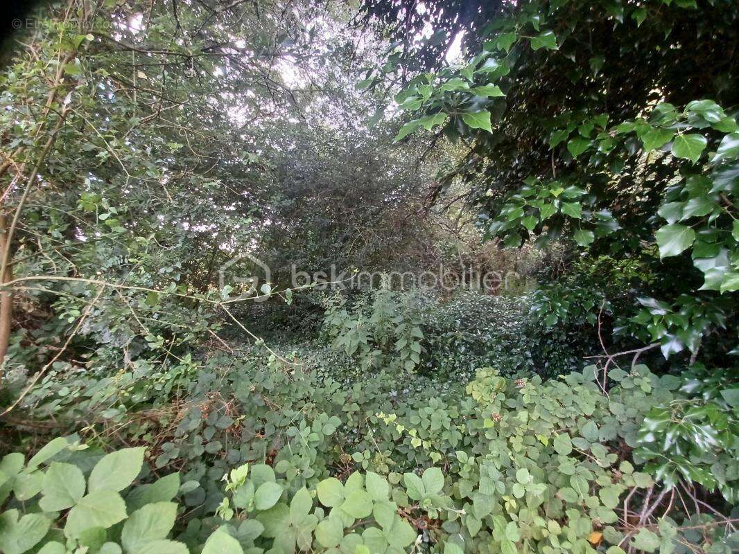 Terrain à SAINT-AUGUSTIN