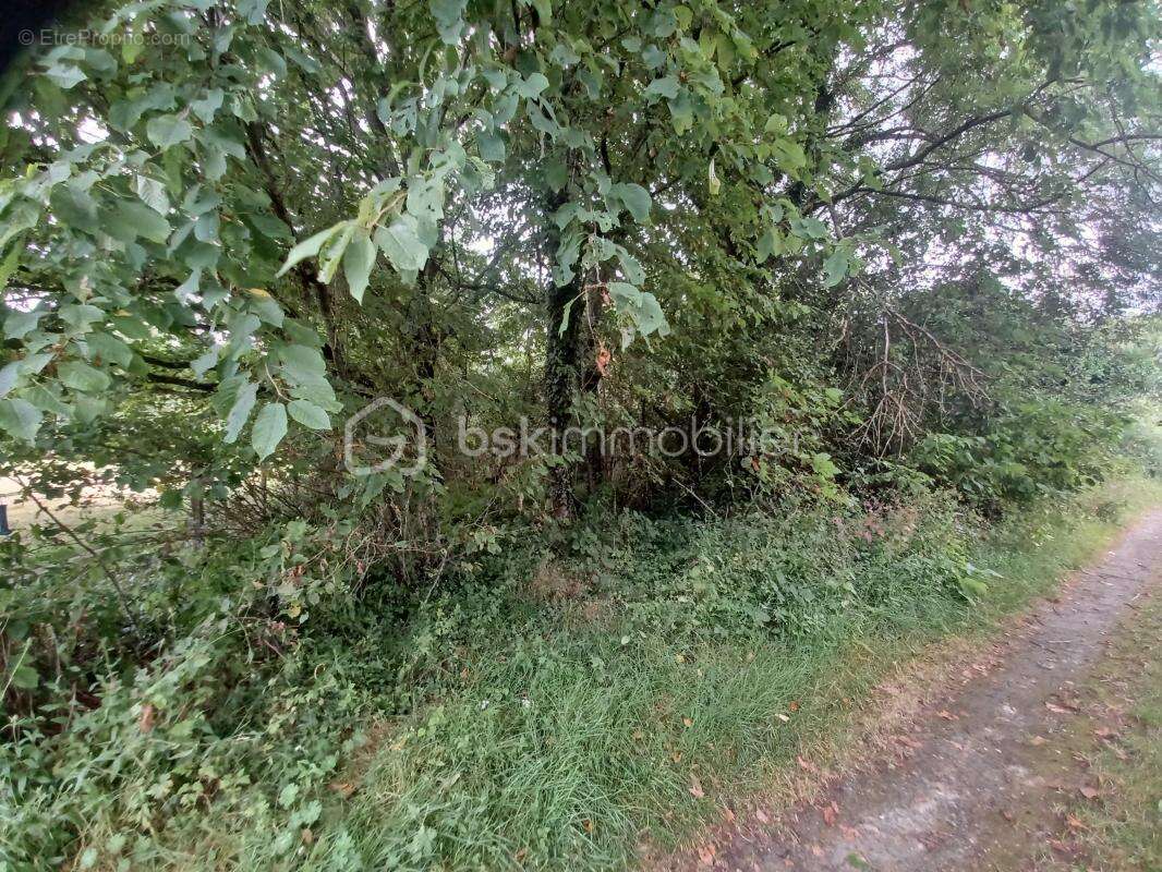 Terrain à SAINT-AUGUSTIN