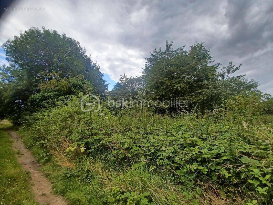 Terrain à SAINT-AUGUSTIN