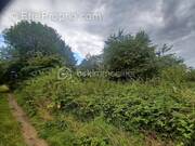 Terrain à SAINT-AUGUSTIN