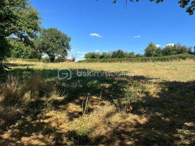 Terrain à LE VIGEANT