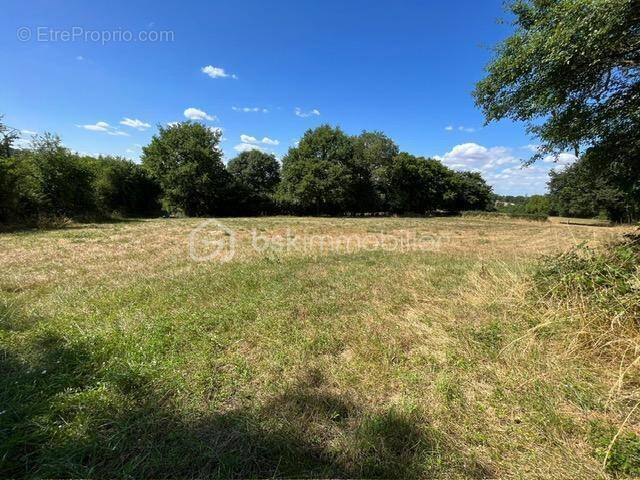 Terrain à LE VIGEANT