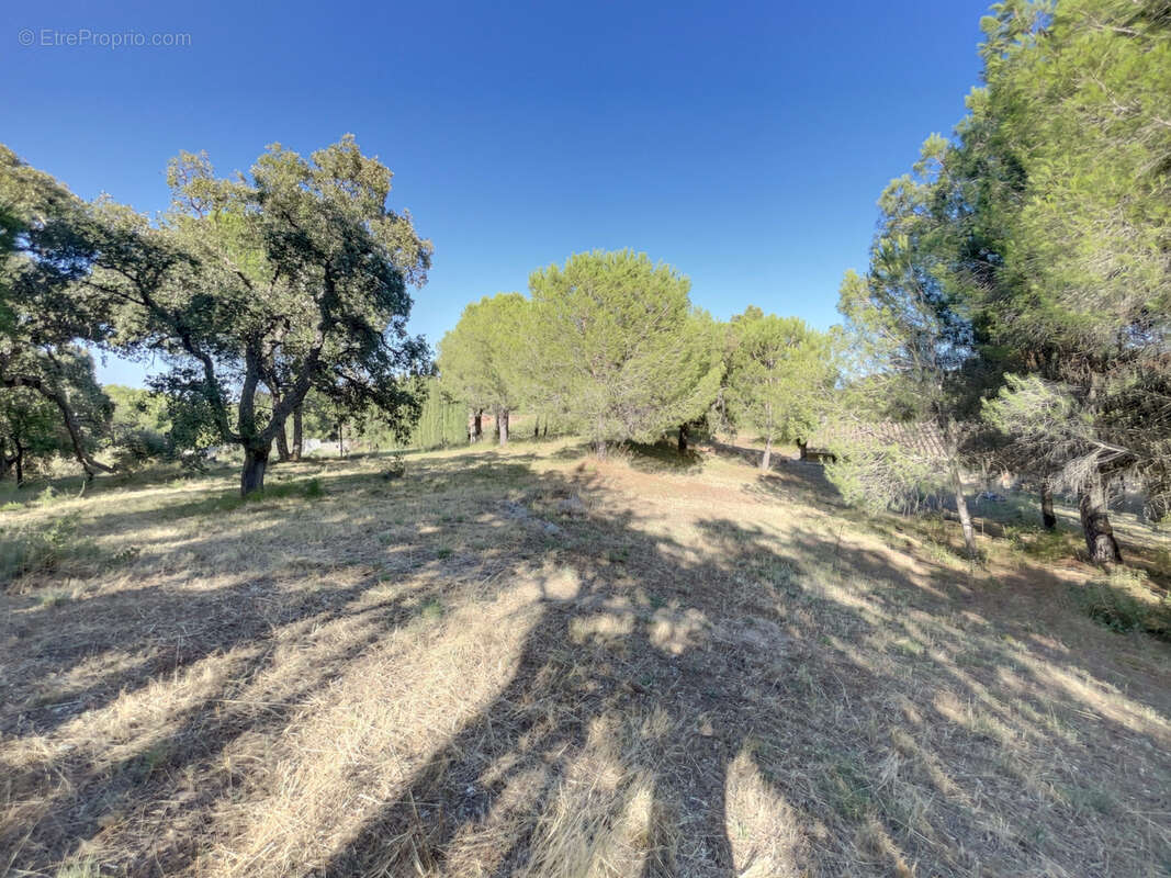 Maison à ARGELES-SUR-MER
