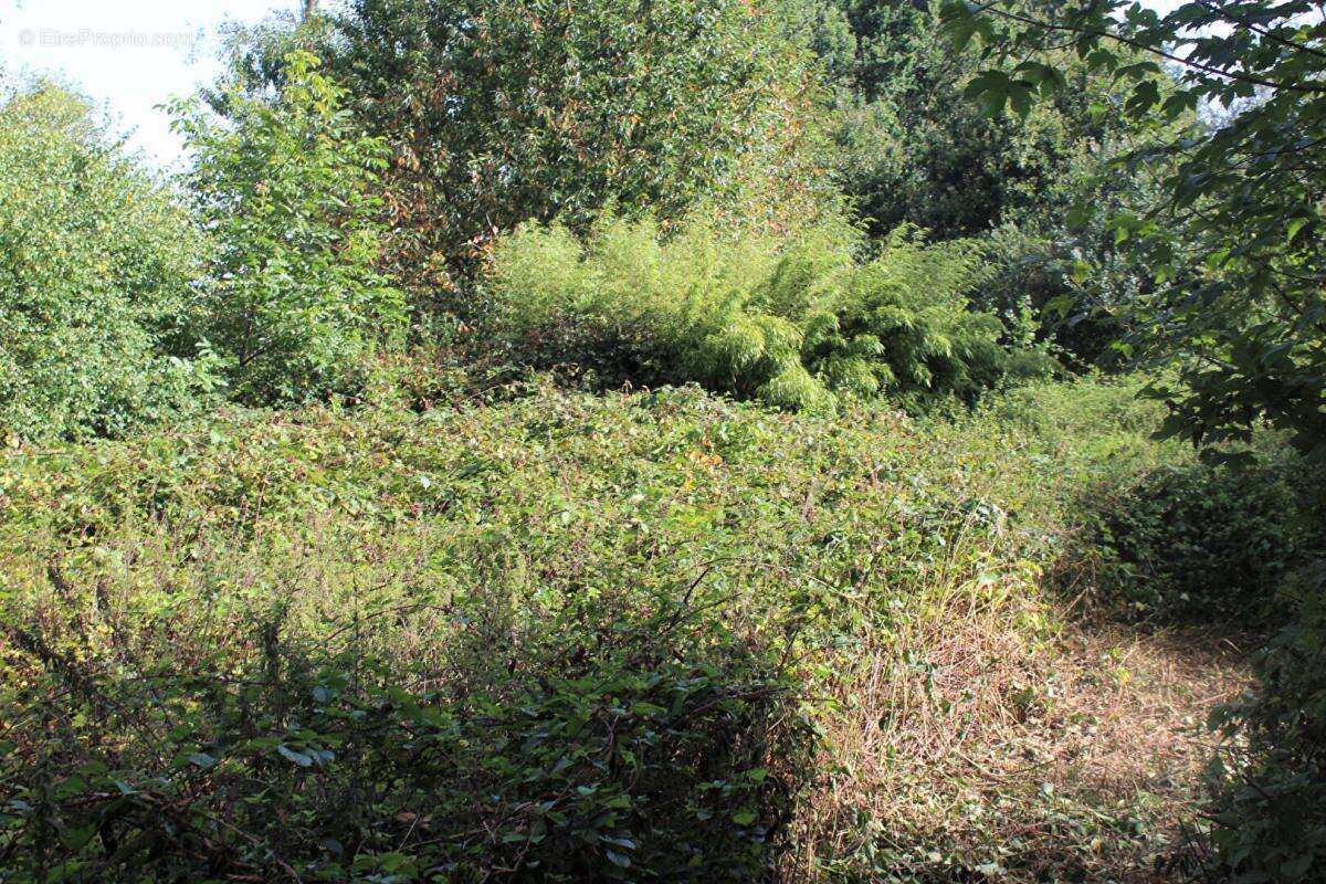 Maison à SAINT-GONNERY