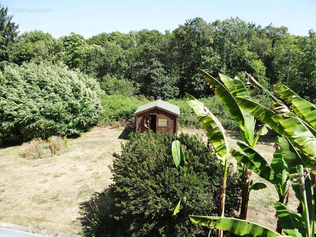 Maison à MOELAN-SUR-MER
