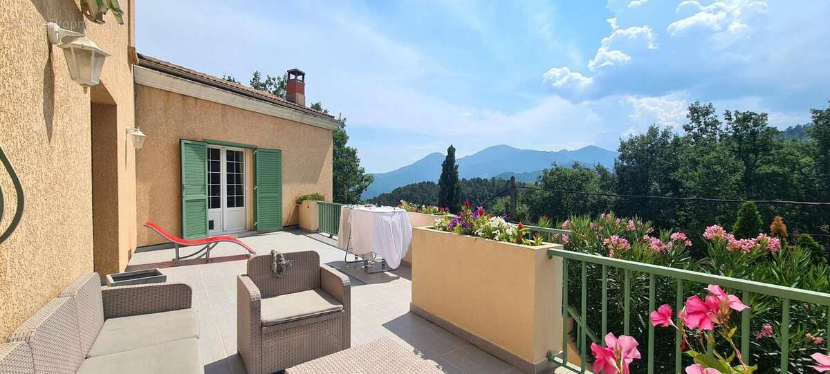 Maison à VENACO