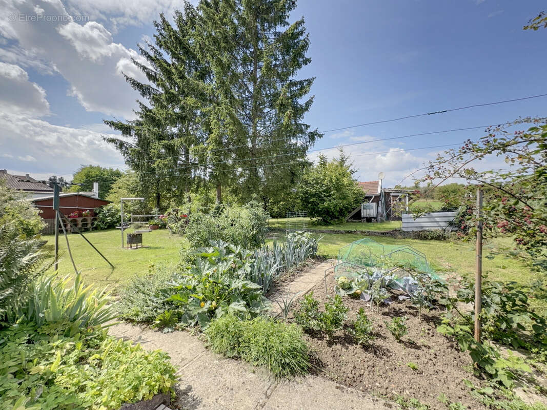 Maison à SARREGUEMINES