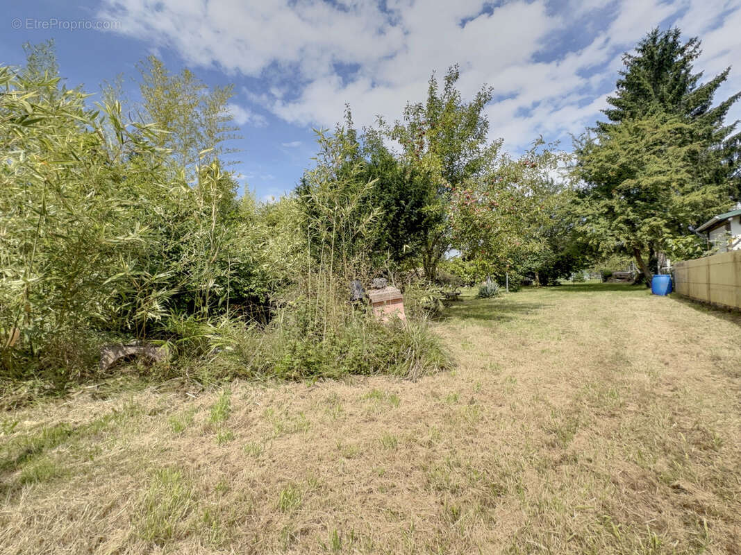 Maison à SARREGUEMINES